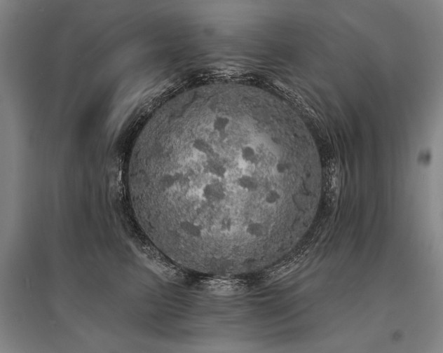 X0000095510615200712141425