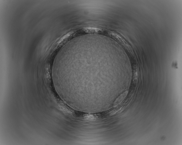 X0000095510616200712141425