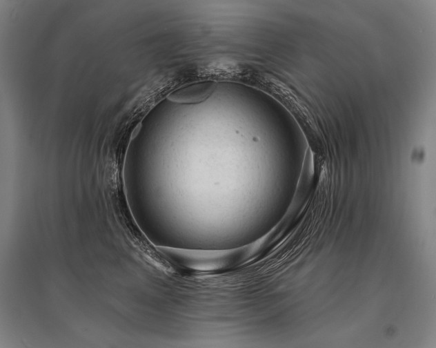 X0000095510617200712141425