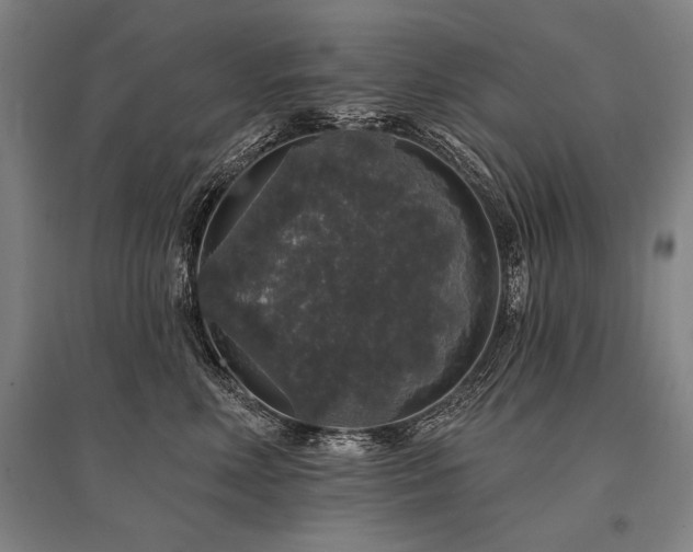 X0000095510618200712141425