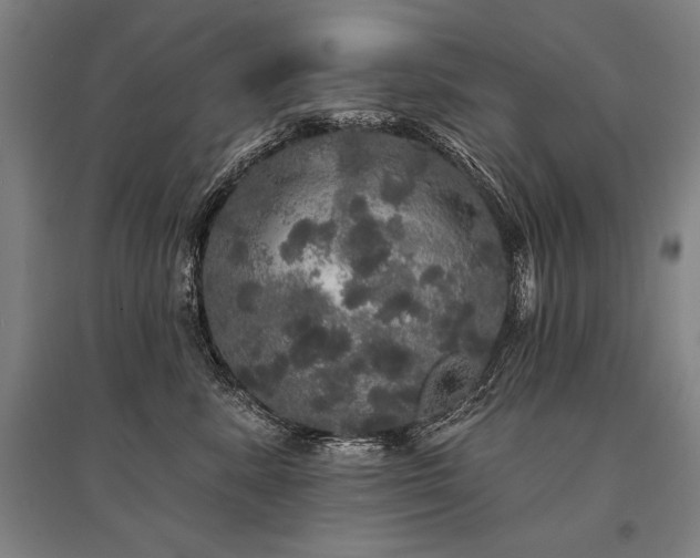 X0000095510619200712141425