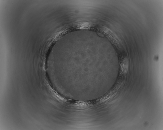 X0000095510620200712141425