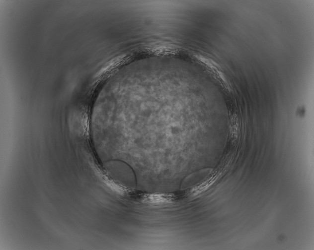 X0000095510622200712141425