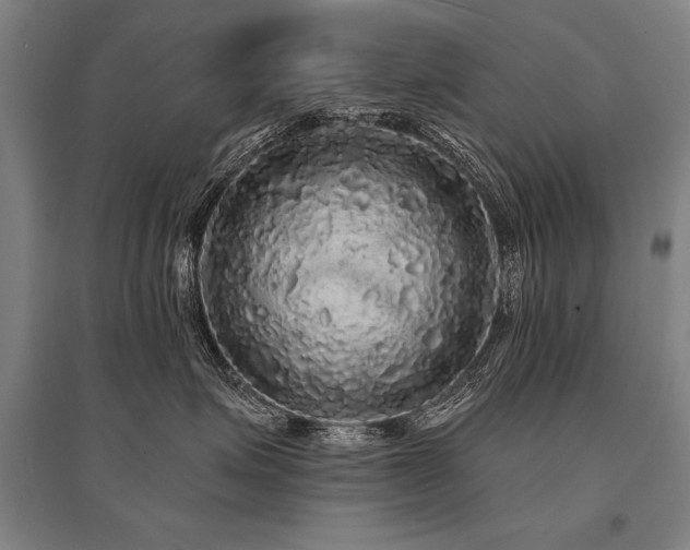 X0000095510623200712141425
