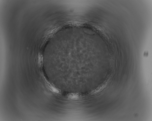 X0000095510624200712141425