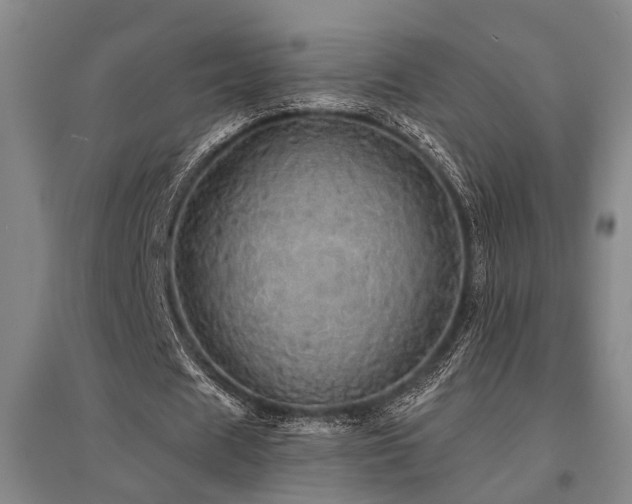 X0000095510625200712141424
