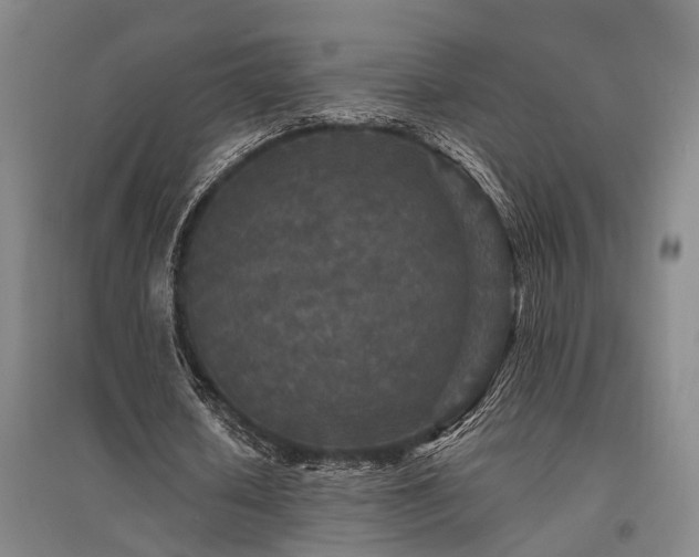 X0000095510626200712141424