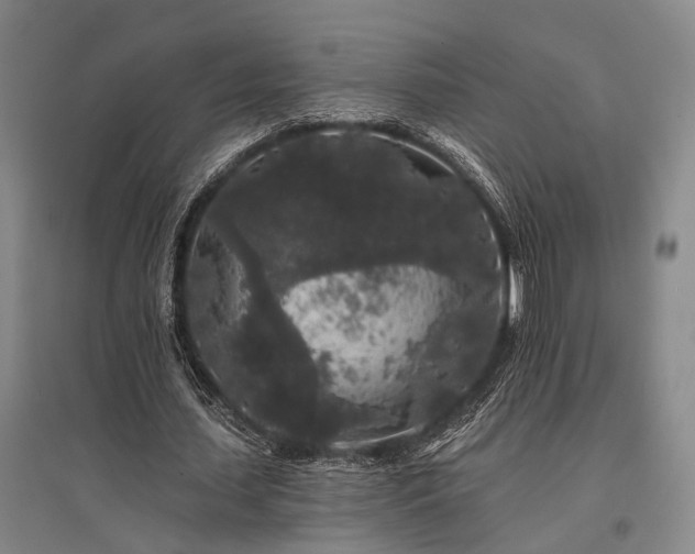 X0000095510627200712141424