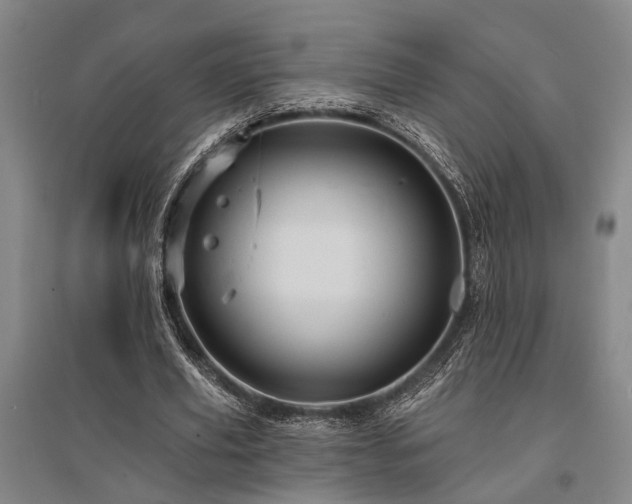 X0000095510629200712141424