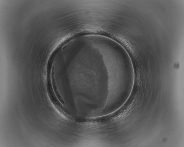 X0000095510630200712141424