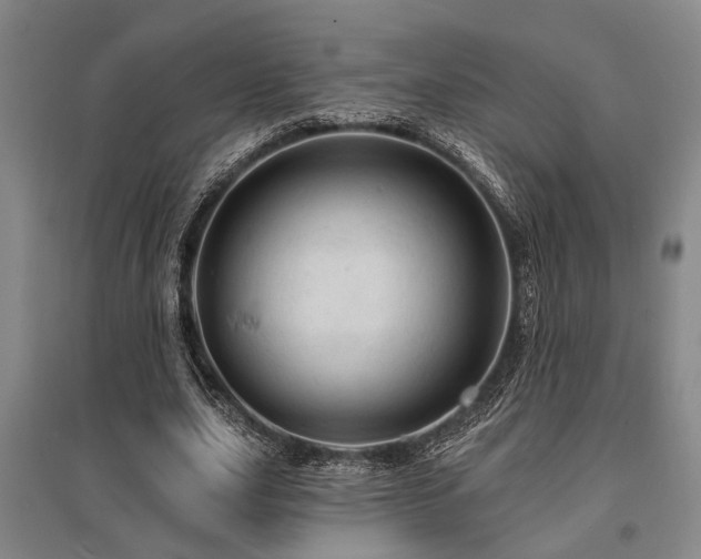 X0000095510631200712141424