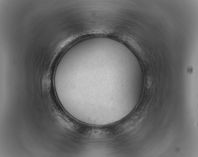 X0000095510632200712141424