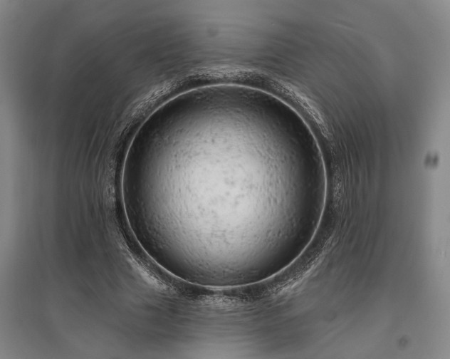 X0000095510633200712141424