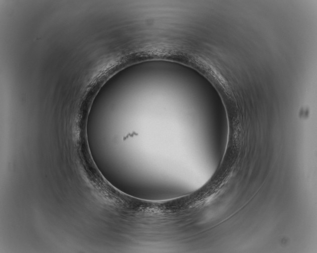 X0000095510635200712141424