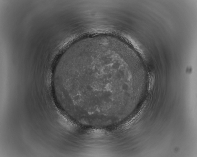 X0000095510637200712141424