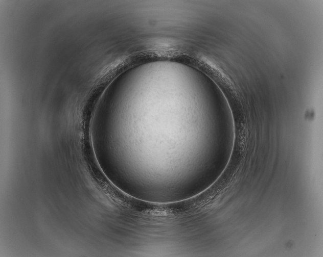 X0000095510639200712141424