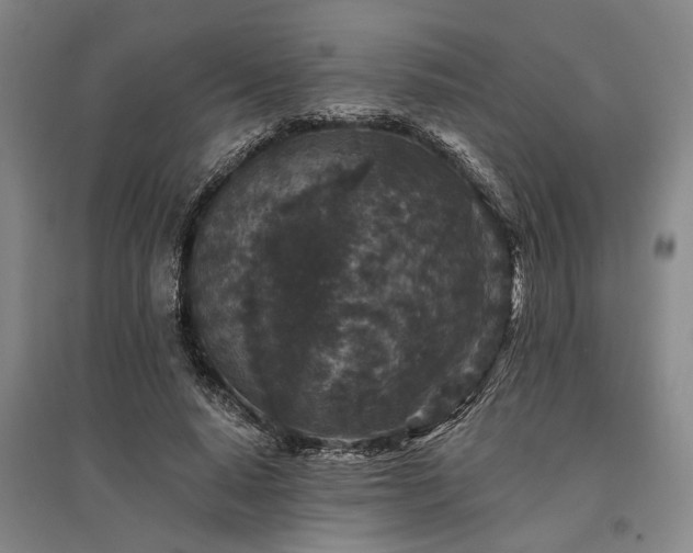 X0000095510640200712141424