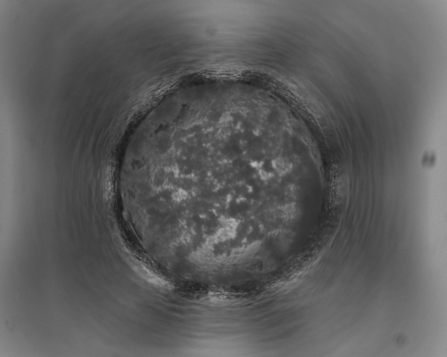 X0000095510641200712141424