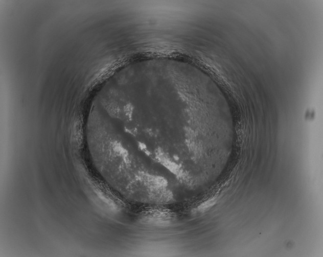 X0000095510642200712141424
