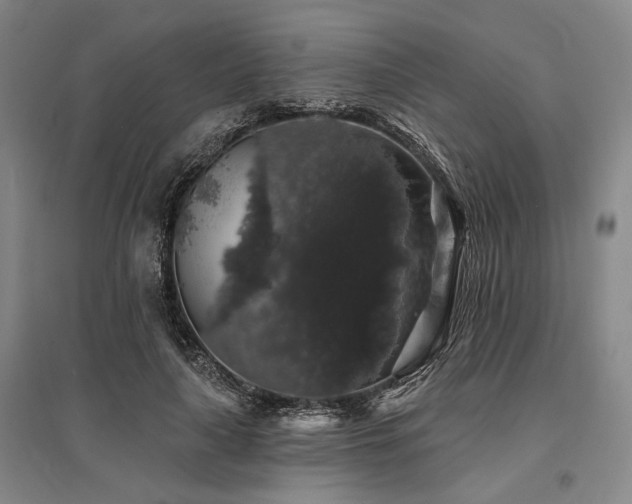 X0000095510643200712141425