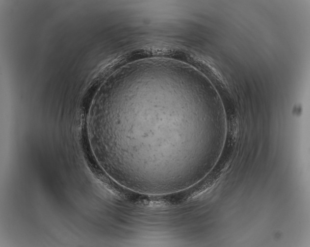 X0000095510645200712141425