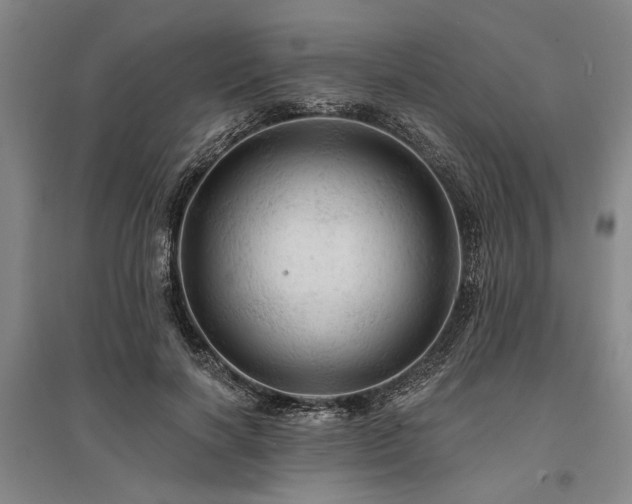 X0000095510646200712141425