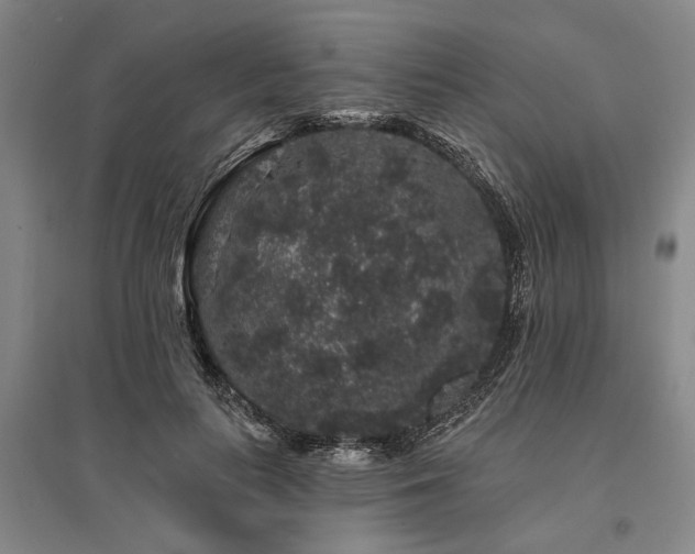 X0000095510647200712141425