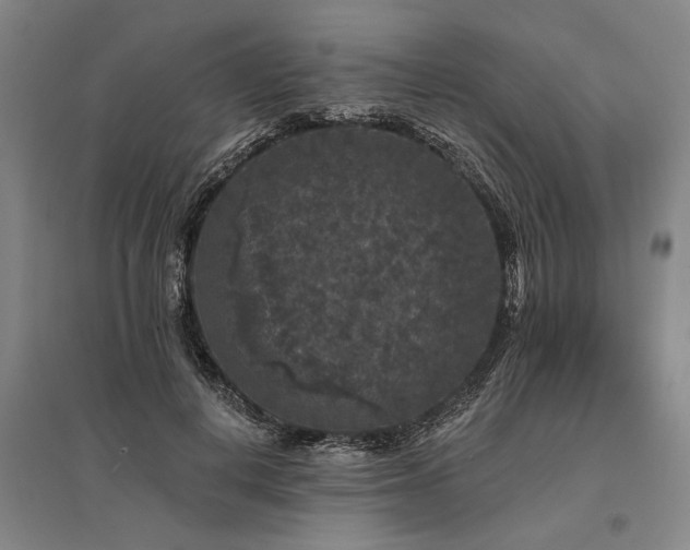 X0000095510648200712141425