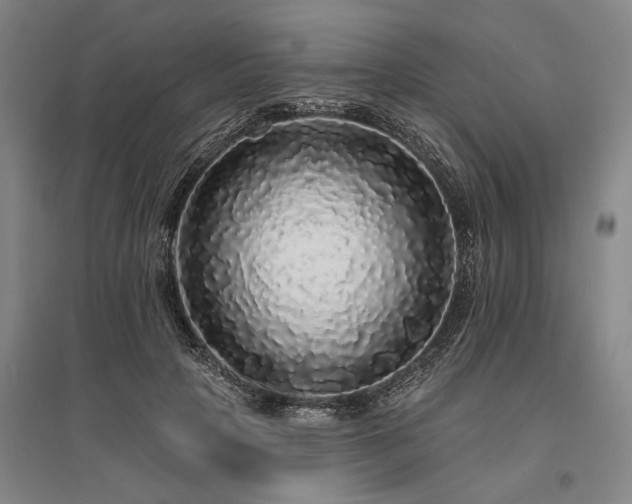 X0000095510649200712141425