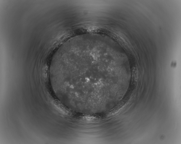 X0000095510650200712141425