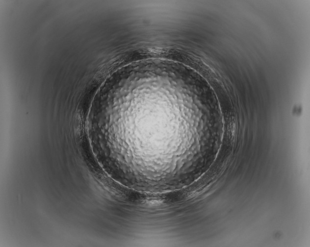 X0000095510651200712141425