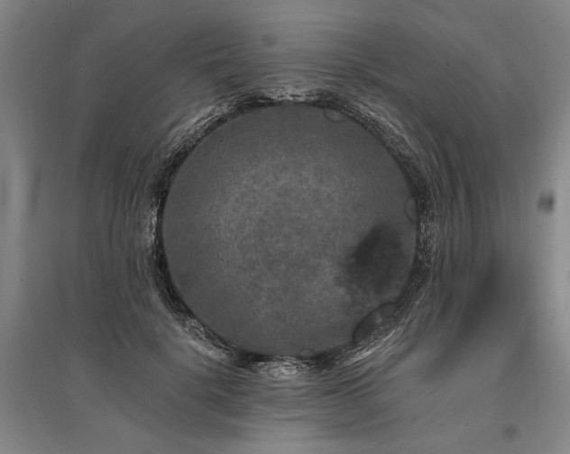 X0000095510652200712141425