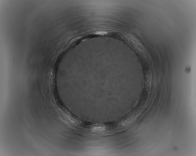 X0000095510653200712141425
