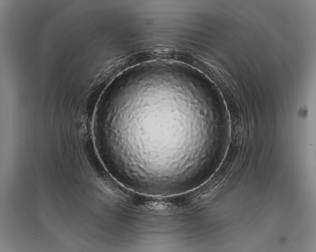 X0000095510654200712141425