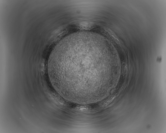 X0000095510655200712141425