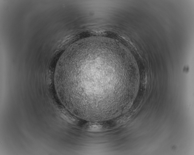 X0000095510658200712141425