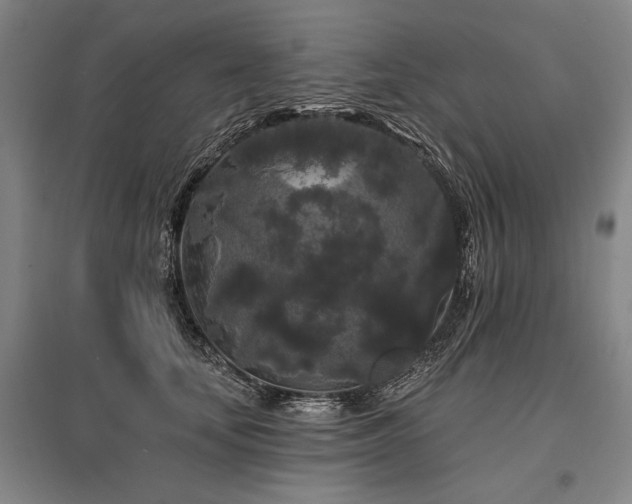 X0000095510659200712141425