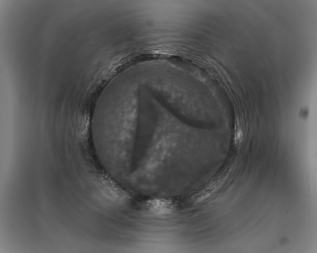 X0000095510660200712141425