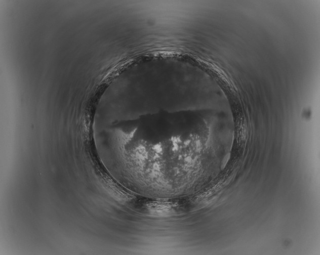 X0000095510661200712141425