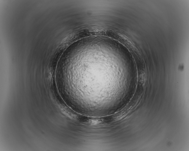 X0000095510662200712141425