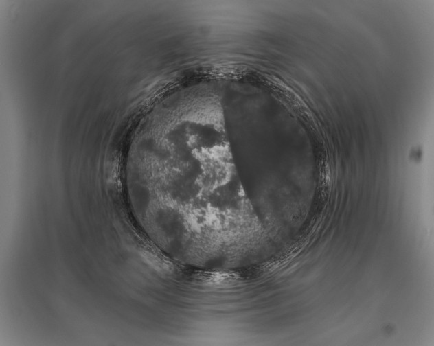 X0000095510663200712141425