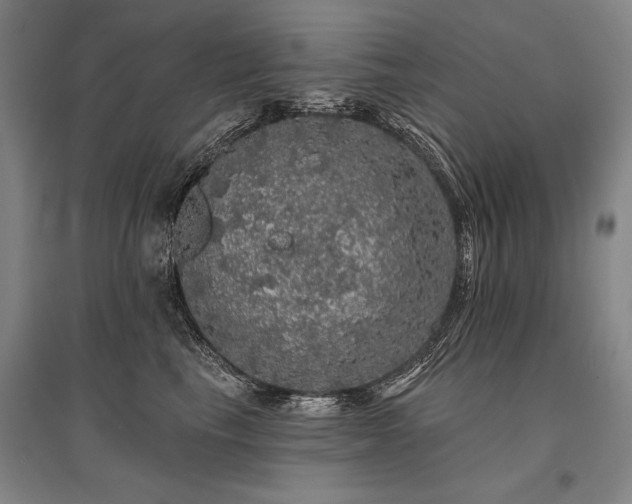 X0000095510665200712141425