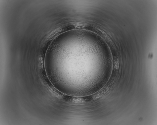 X0000095510666200712141425