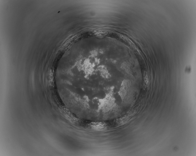 X0000095510667200712141425