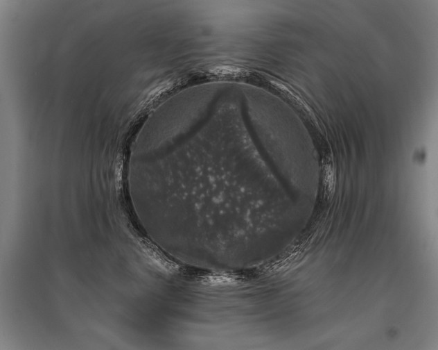 X0000095510668200712141425