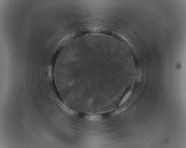 X0000095510670200712141425