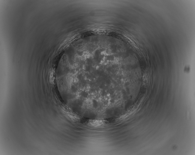 X0000095510671200712141425