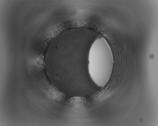 X0000095510672200712141425