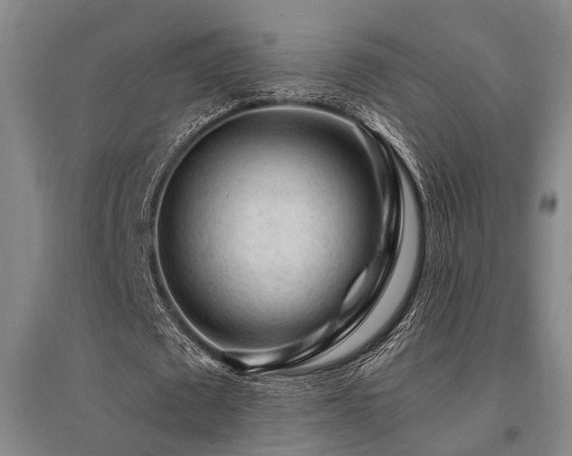 X0000095510673200712141424