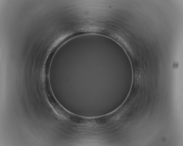 X0000095510674200712141424
